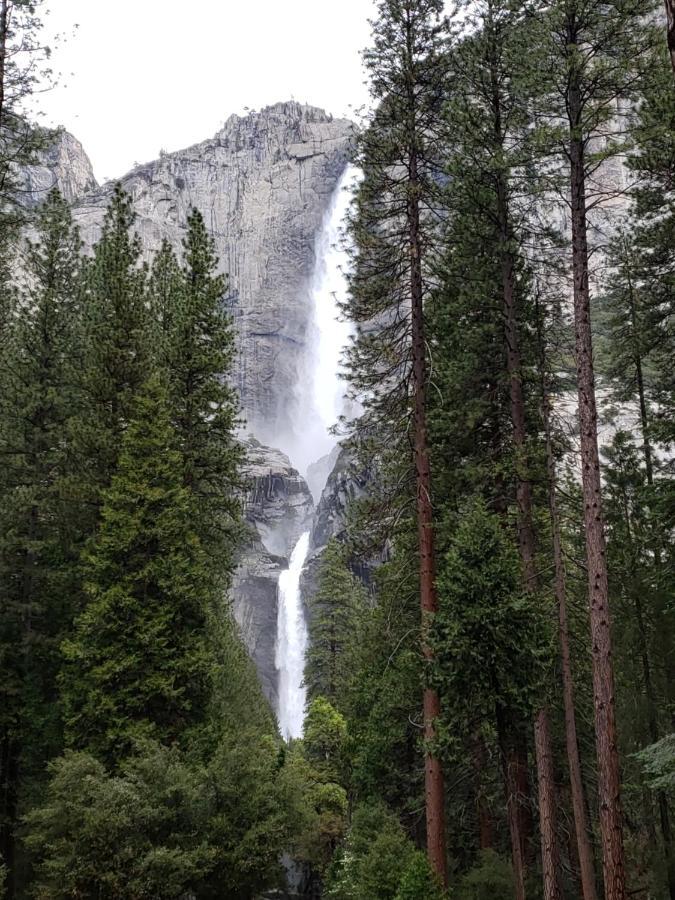 Yosemite Foothill Retreat - Private Guest Suite #3 Coarsegold Buitenkant foto