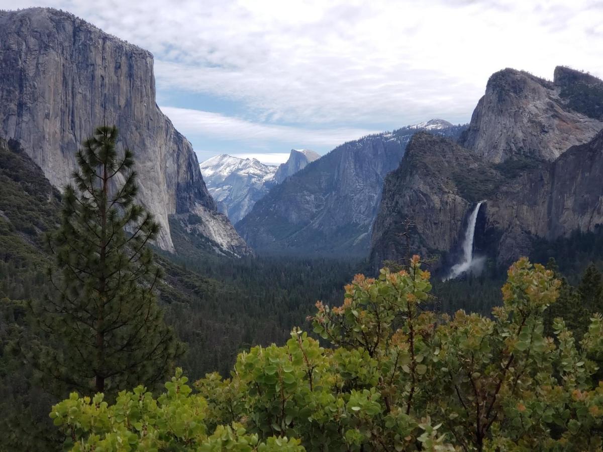 Yosemite Foothill Retreat - Private Guest Suite #3 Coarsegold Buitenkant foto